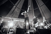 2012-07-26 - Street Dogs från West Coast Riot, Göteborg