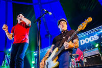 2012-07-26 - Street Dogs från West Coast Riot, Göteborg