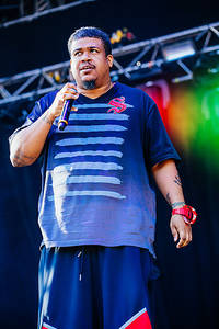 2012-08-09 - De La Soul från Way Out West, Göteborg
