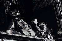 2009-08-12 - Apocalyptica från Göteborgs Kulturkalas, Göteborg