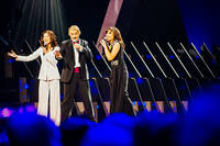 2013-03-08 - Melodifestivalen - Final från Friends Arena, Stockholm