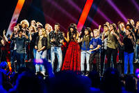 2013-03-08 - Melodifestivalen - Final från Friends Arena, Stockholm