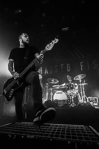 2020-02-15 - Raised Fist från Pustervik, Göteborg