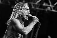 2010-08-13 - Iggy & The Stooges från Way Out West, Göteborg