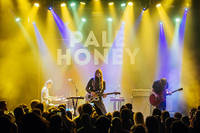 2020-03-13 - Pale Honey från Pustervik, Göteborg