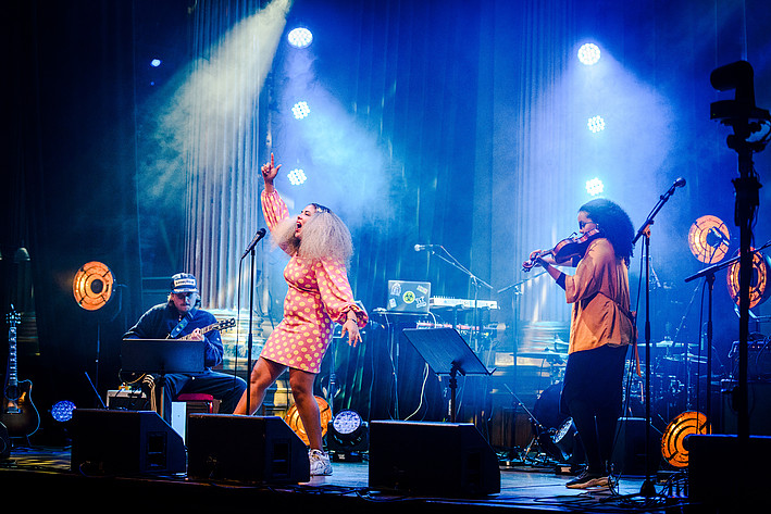 2020-05-10 - Mapei från Nalen, Stockholm