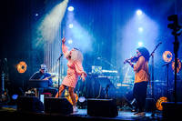2020-05-10 - Mapei från Nalen, Stockholm