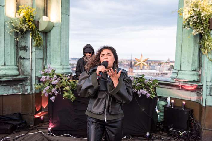 2020-06-06 - Mapei från Stockholms stadshus, Stockholm