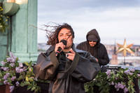 2020-06-06 - Mapei från Stockholms stadshus, Stockholm
