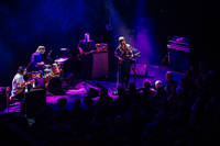 2021-10-15 - Slowgold från Pustervik, Göteborg
