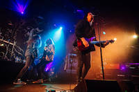 2021-11-12 - Evergrey från Pustervik, Göteborg