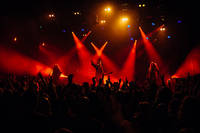 2021-11-12 - Evergrey från Pustervik, Göteborg