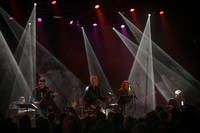 2021-11-19 - Ossler från Pustervik, Göteborg