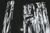 2021-11-19 - Zara Larsson från Scandinavium, Göteborg