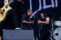 2022-06-10 - Bombus från Sweden Rock Festival, Sölvesborg
