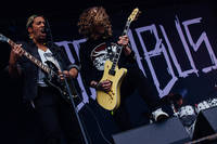 2022-06-10 - Bombus från Sweden Rock Festival, Sölvesborg