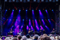 2022-06-21 - Sting från Trädgårdsföreningen, Göteborg