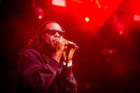 2022-08-13 - Burna Boy från Way Out West, Göteborg
