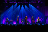 2023-03-18 - Divanhana från Kulturhuset, Stockholm