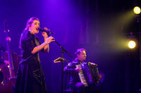 2023-03-18 - Divanhana från Kulturhuset, Stockholm