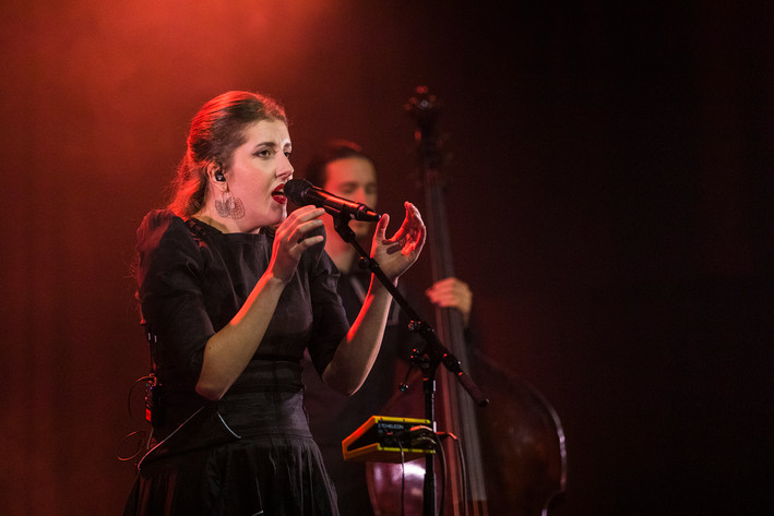 2023-03-18 - Divanhana från Kulturhuset, Stockholm