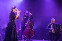 2023-03-18 - Divanhana från Kulturhuset, Stockholm