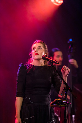 2023-03-18 - Divanhana från Kulturhuset, Stockholm
