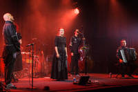 2023-03-18 - Divanhana från Kulturhuset, Stockholm