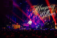2023-03-24 - Weeping Willows från Konserthuset, Göteborg