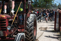 2023-06-01 - Områdesbilder från Muskelrock, Alvesta
