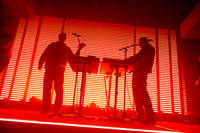 2023-11-08 - Jungle från Filadelfia, Stockholm
