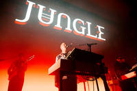 2023-11-08 - Jungle från Filadelfia, Stockholm