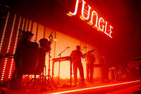 2023-11-08 - Jungle från Filadelfia, Stockholm