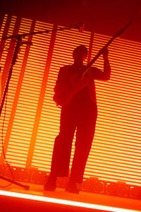 2023-11-08 - Jungle från Filadelfia, Stockholm