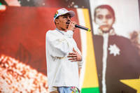 2024-06-14 - YG Marley från Rosendal Garden Party, Stockholm