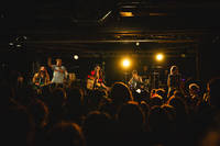 2024-07-24 - Gogol Bordello från Plan B, Malmö