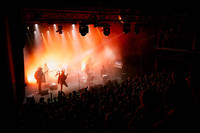 2024-10-20 - Goat från Pustervik, Göteborg