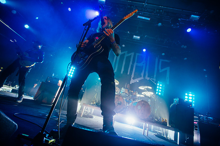 2025-02-01 - Bombus från Pustervik, Göteborg