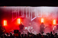 2025-02-01 - Bombus från Pustervik, Göteborg