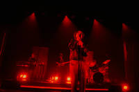 2025-02-13 - David Kushner från Cirkus, Stockholm