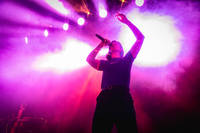 2025-05-30 - Romy från Fållan, Stockholm