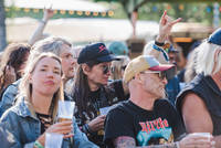 2025-05-29 - Områdesbilder från Muskelrock, Alvesta