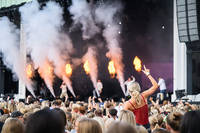 2025-08-02 - Fjellrev från Liseberg, Göteborg