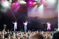 2025-08-02 - Fjellrev från Liseberg, Göteborg