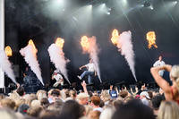 2025-08-02 - Fjellrev från Liseberg, Göteborg