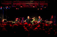2025-11-20 - Swans från Slaktkyrkan, Stockholm
