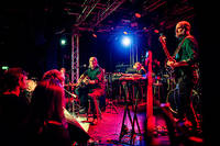 2025-11-20 - Swans från Slaktkyrkan, Stockholm