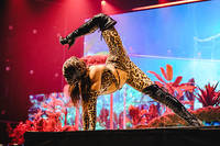 2026-03-05 - Jason Derulo från Hallenstadion, Zürich